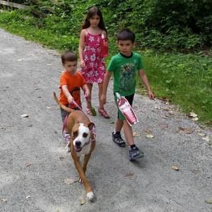 Meet your Posher, Dave